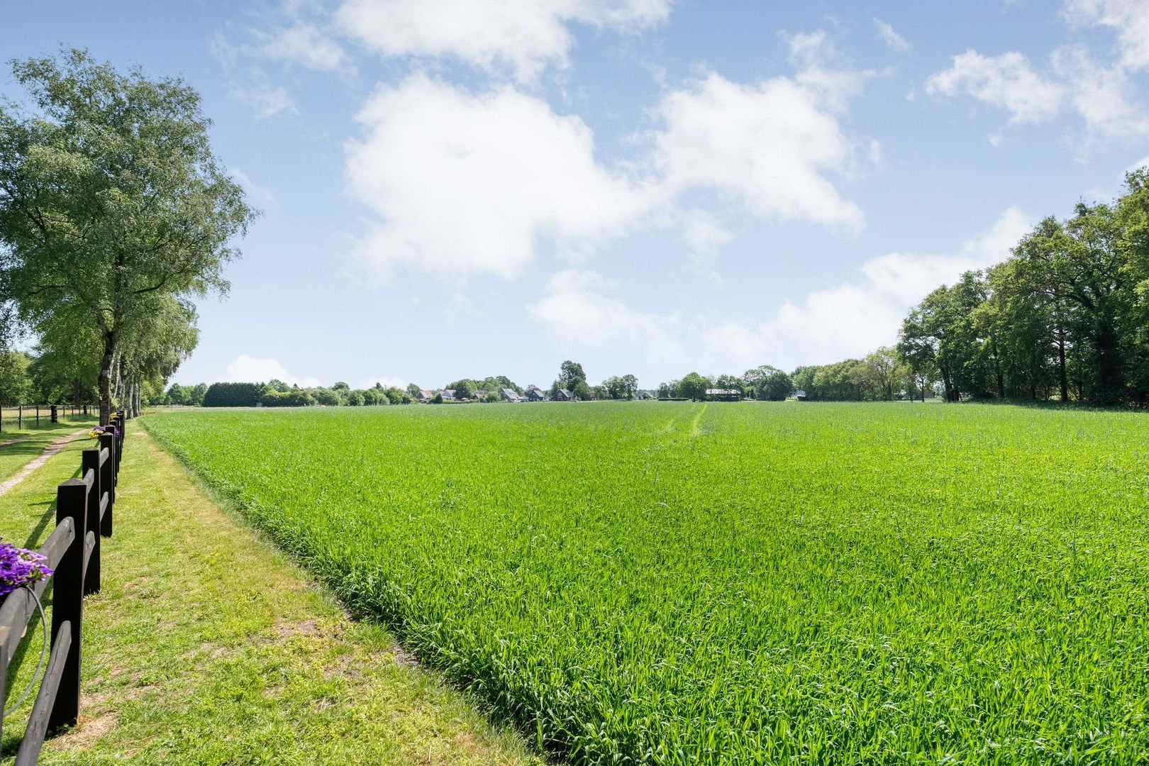 Meeuwenweg 23, Nieuw-Balinge foto-75