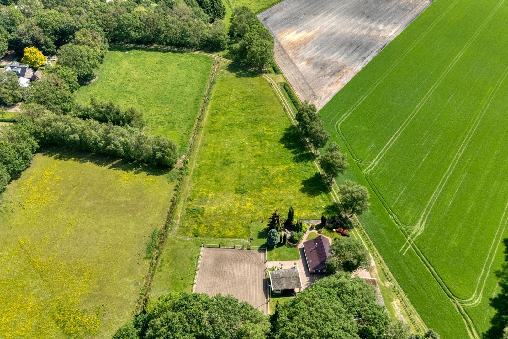 Meeuwenweg 23, Nieuw-Balinge foto-13