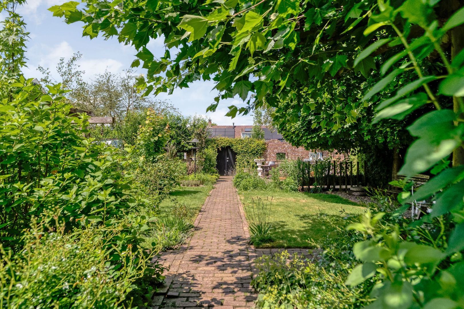 Dijkhuizen 49, Ruinerwold foto-55