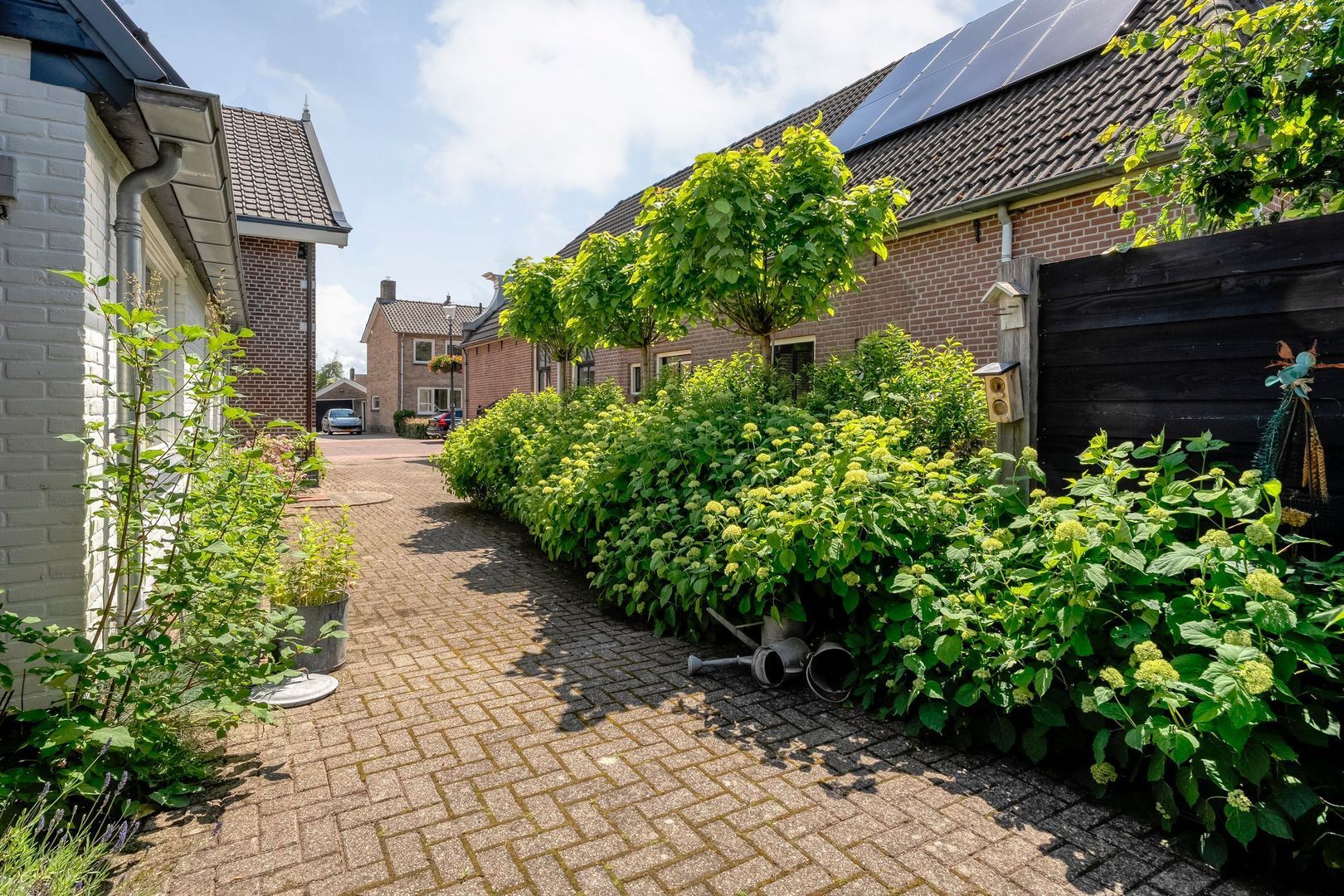 Dijkhuizen 49, Ruinerwold foto-62