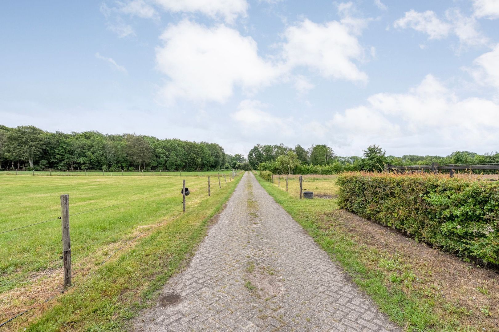 Ronde Blesse 4, Willemsoord foto-72