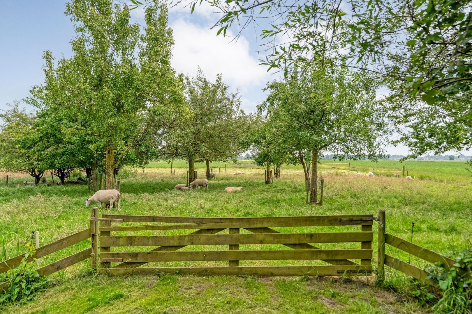 Nijeveense Bovenboer 22, Nijeveen foto-68