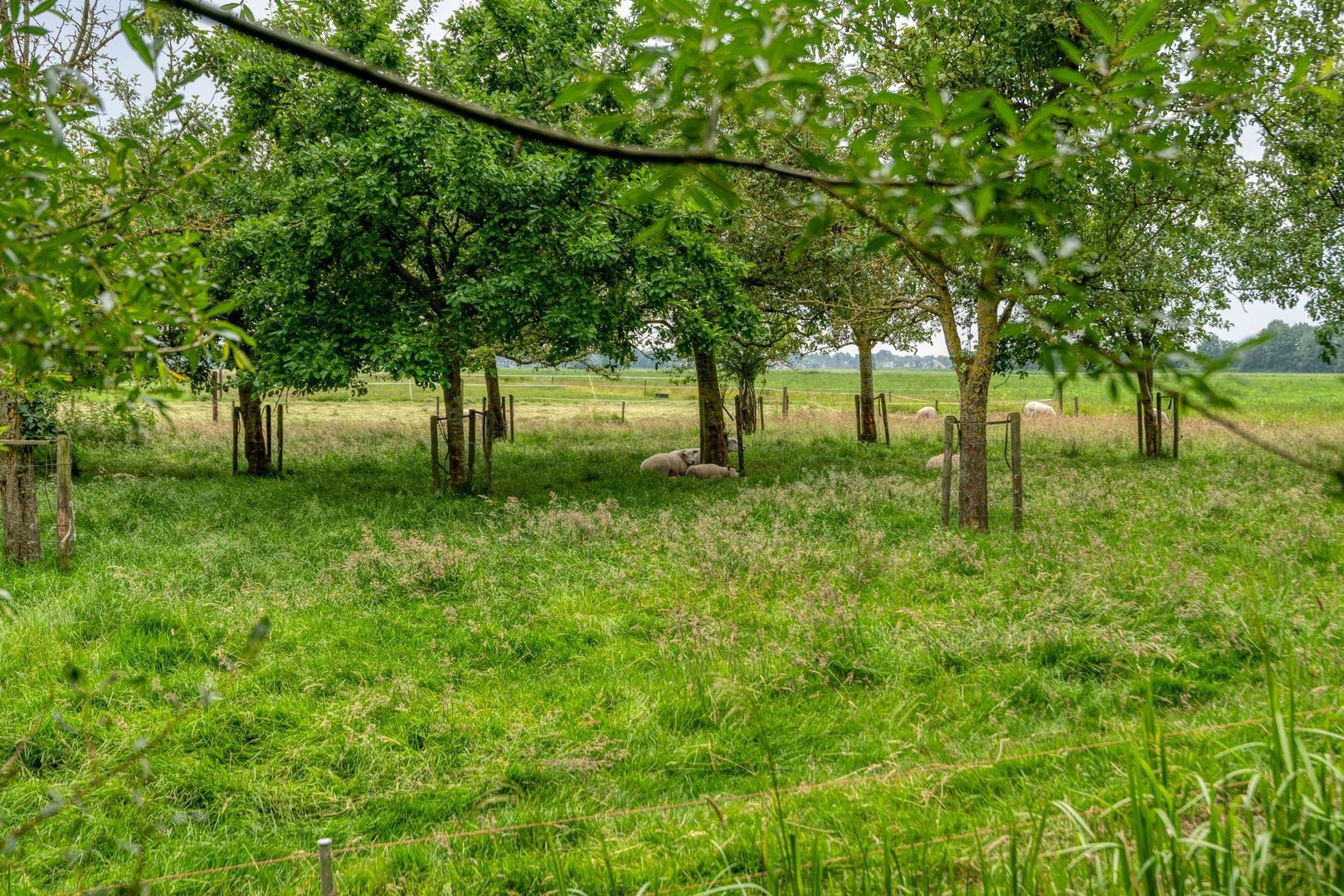 Nijeveense Bovenboer 22, Nijeveen foto-75