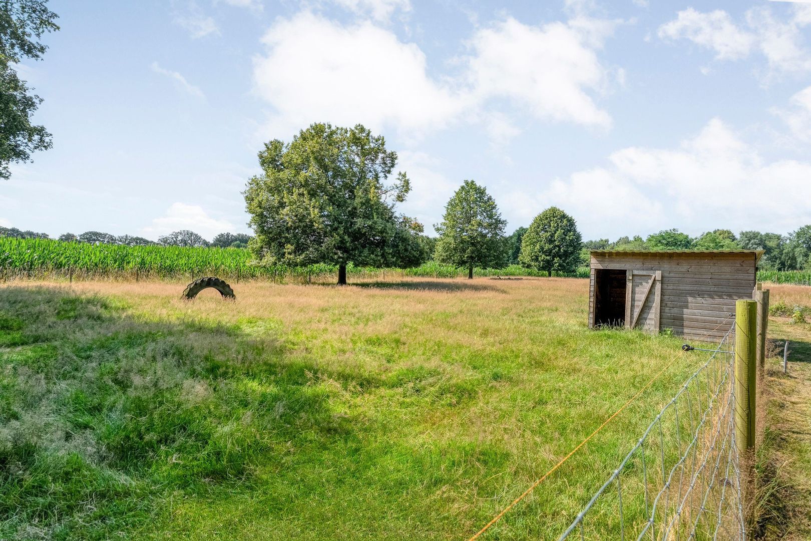 Molenlaan 4, Frederiksoord foto-73