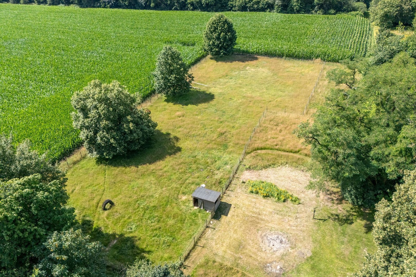 Molenlaan 4, Frederiksoord foto-9