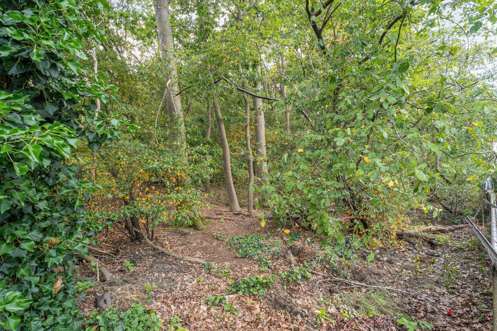 Ommerweg 18 a, Zuidwolde foto-19