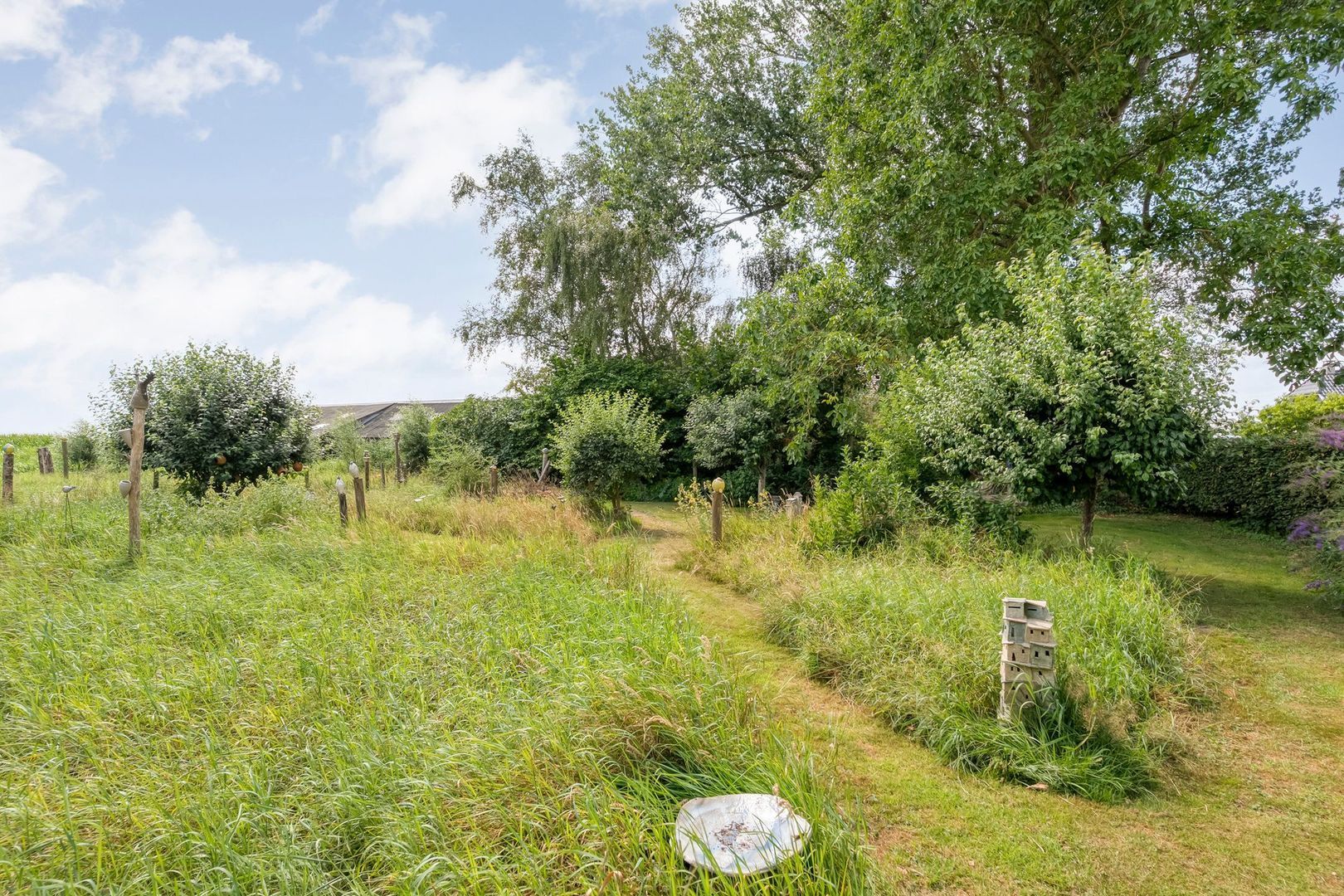 Klosseweg 1, Wanneperveen foto-69