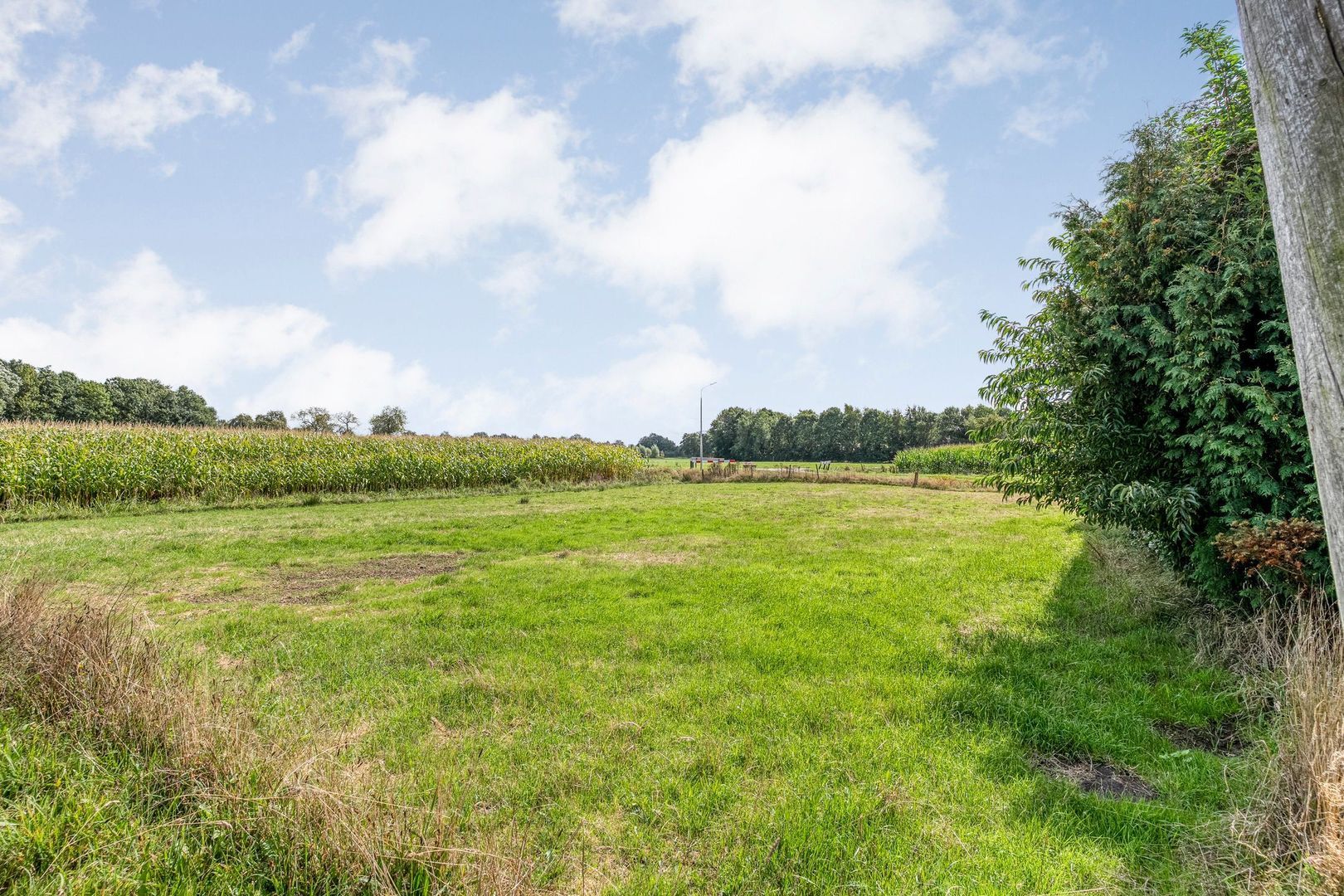 Gorthoek 9, Nijeveen foto-64