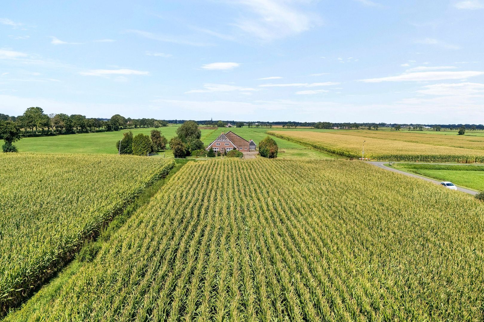 Gorthoek 9, Nijeveen foto-7