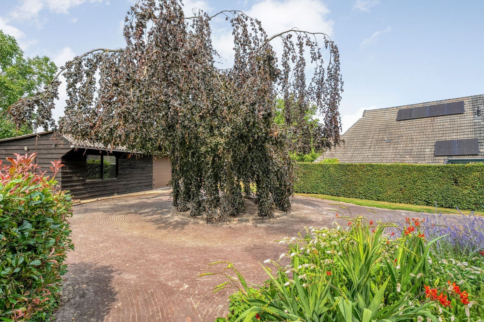 De Hoek 9, Vledder foto-6