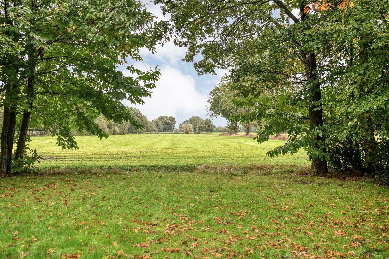 De Weidenweg 15, Ruinerwold foto-54