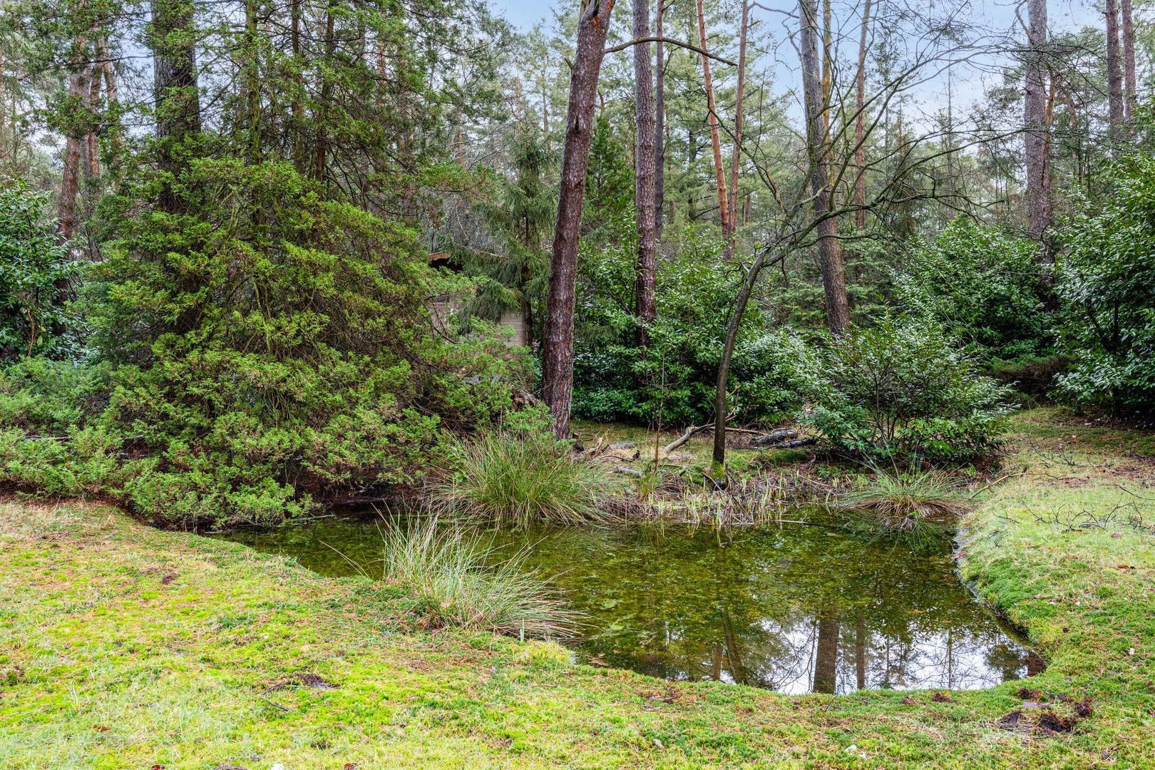 Hammerweg 41, Ommen foto-70