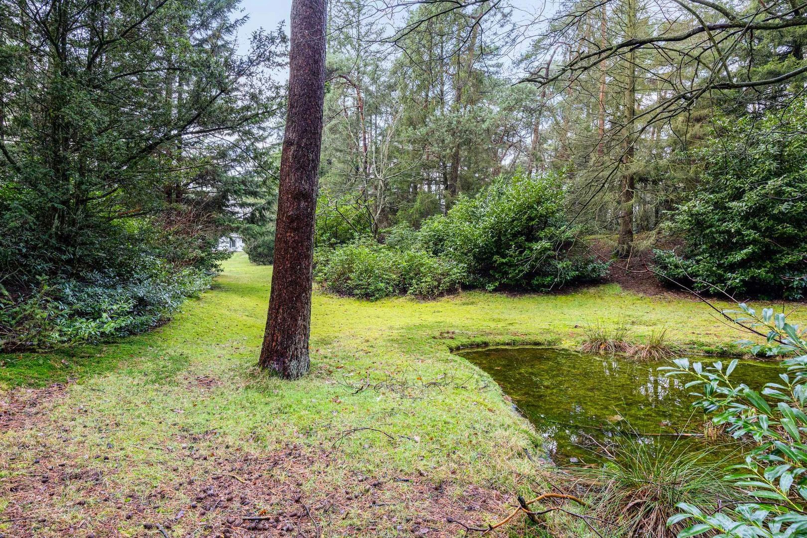 Hammerweg 41, Ommen foto-72