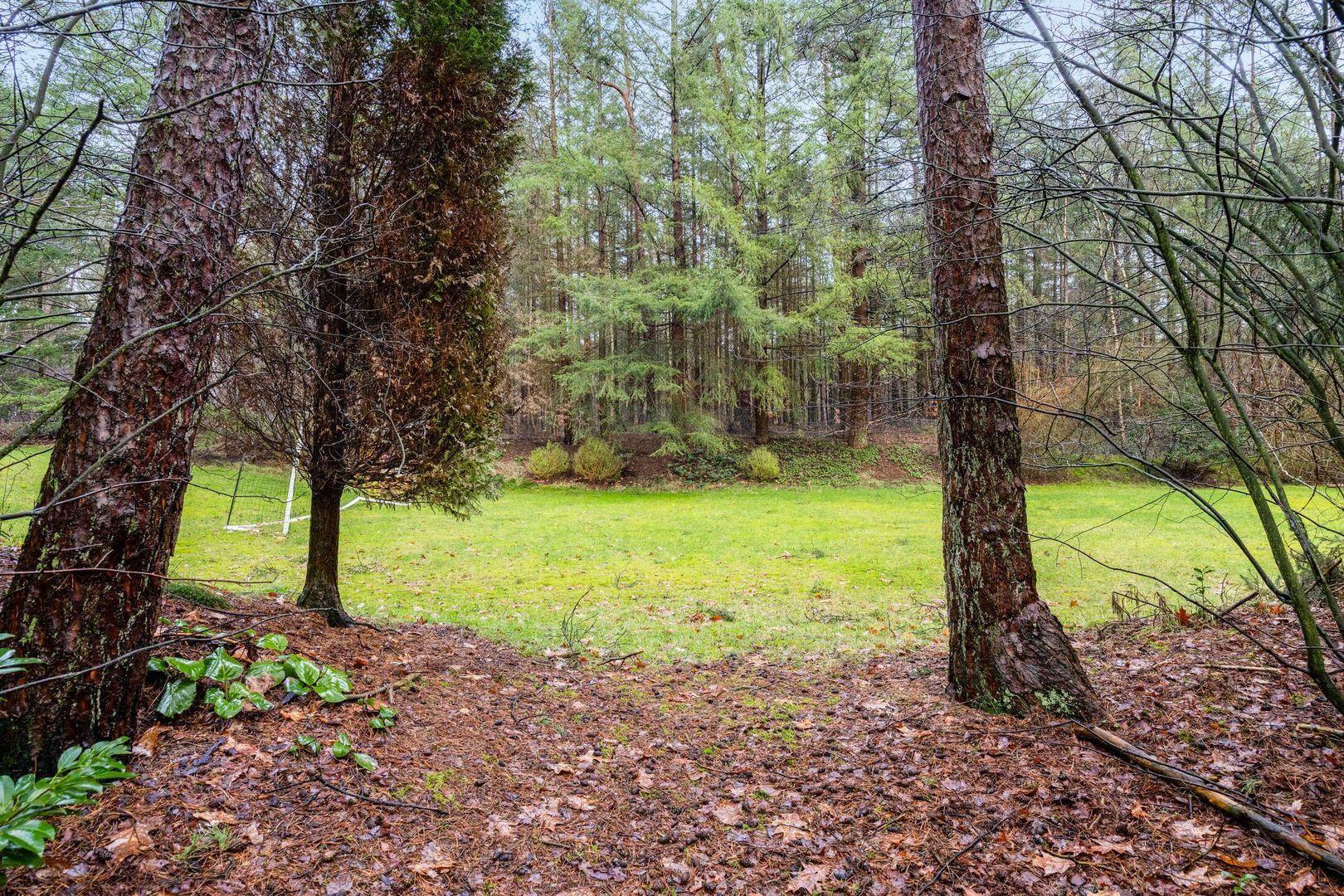 Hammerweg 41, Ommen foto-73