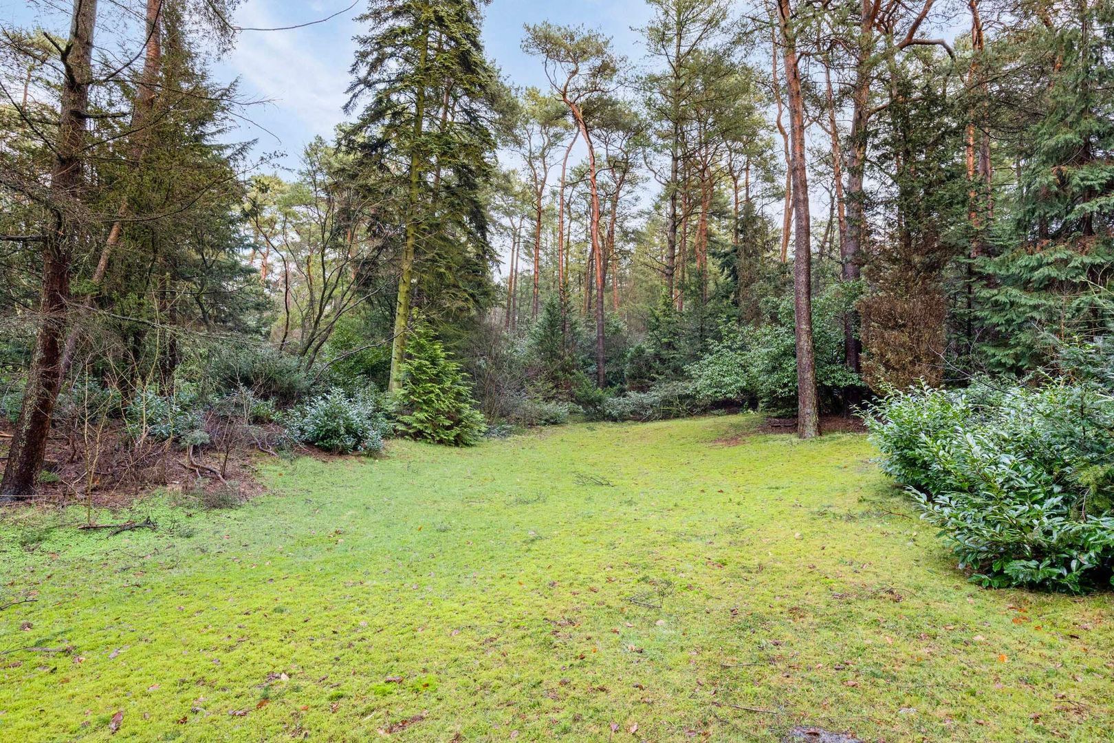 Hammerweg 41, Ommen foto-66