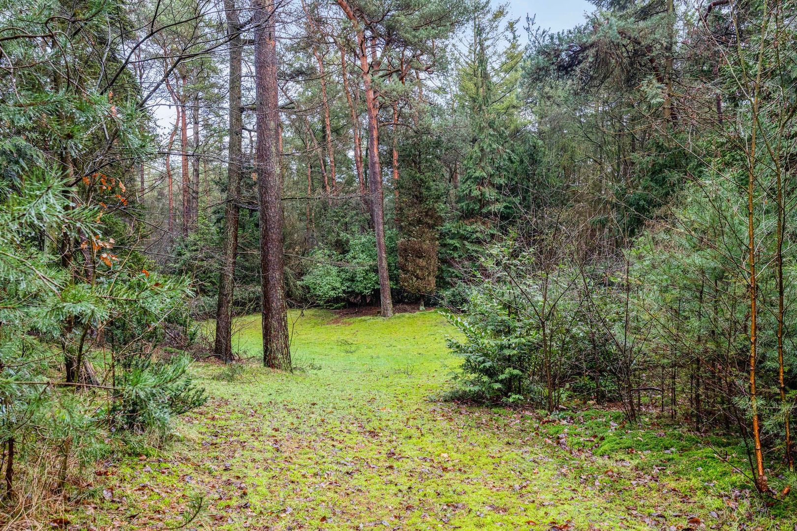 Hammerweg 41, Ommen foto-67