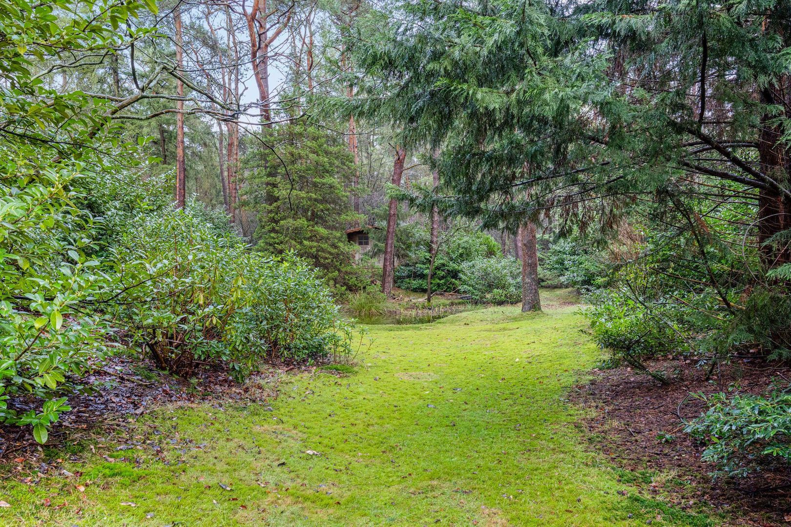 Hammerweg 41, Ommen foto-68