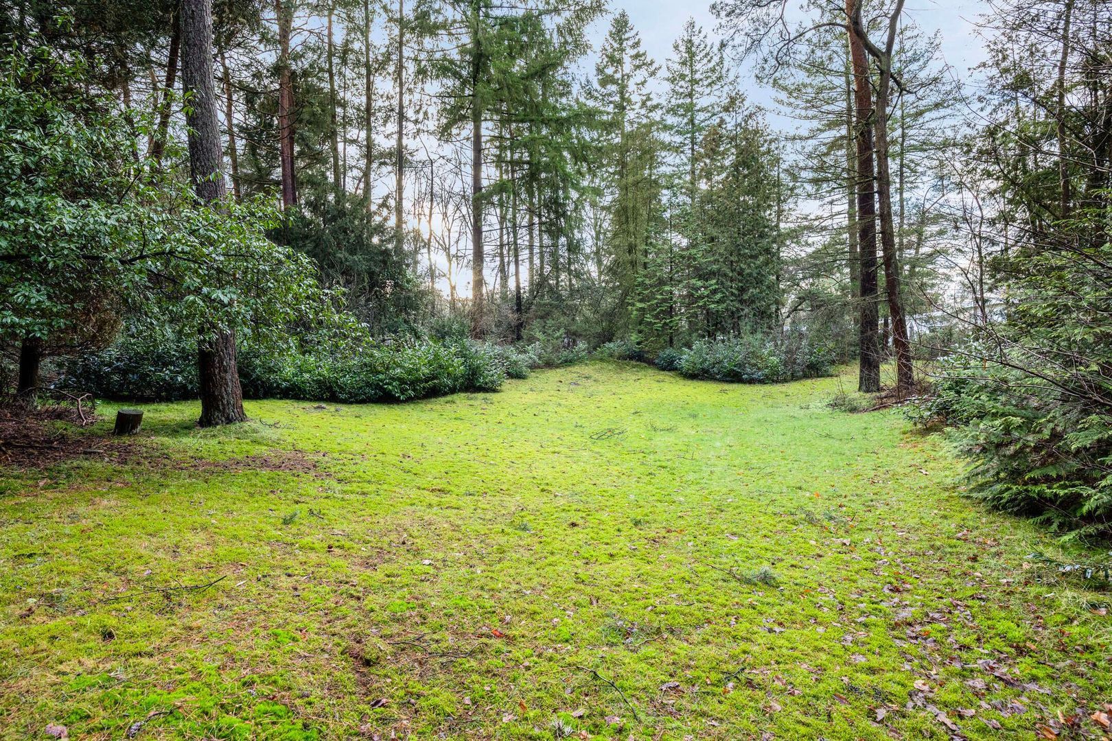 Hammerweg 41, Ommen foto-65