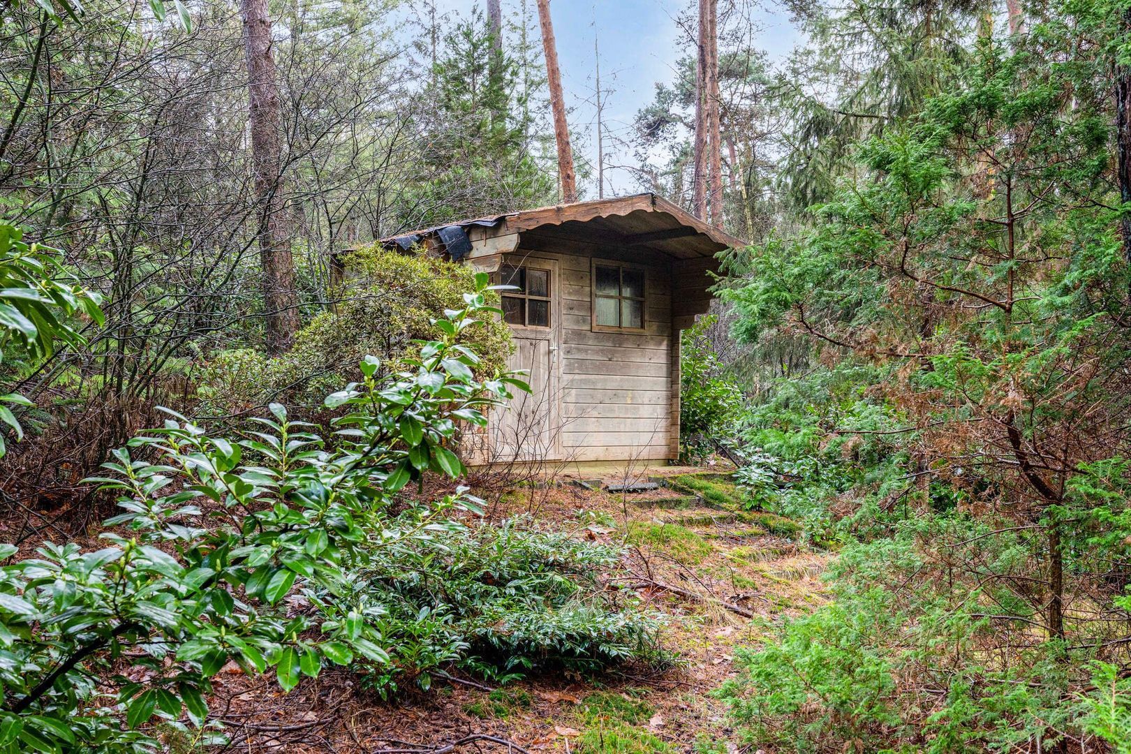 Hammerweg 41, Ommen foto-69