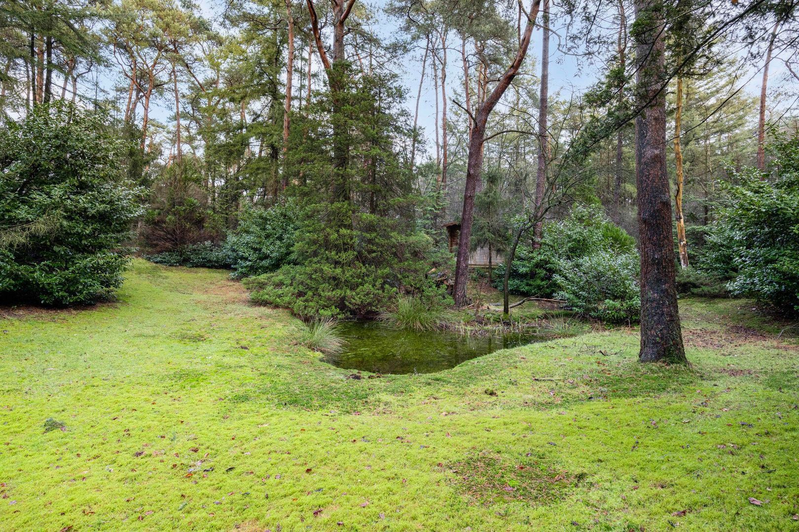 Hammerweg 41, Ommen foto-71