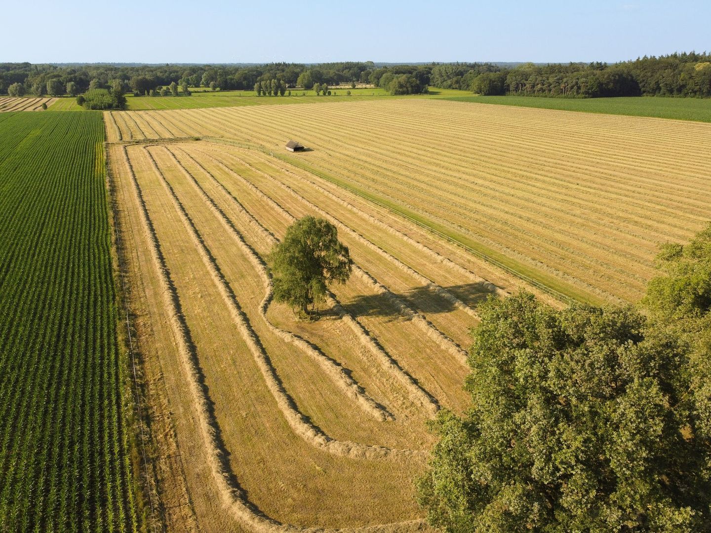 Batterinkweg 7, Ommen foto-4