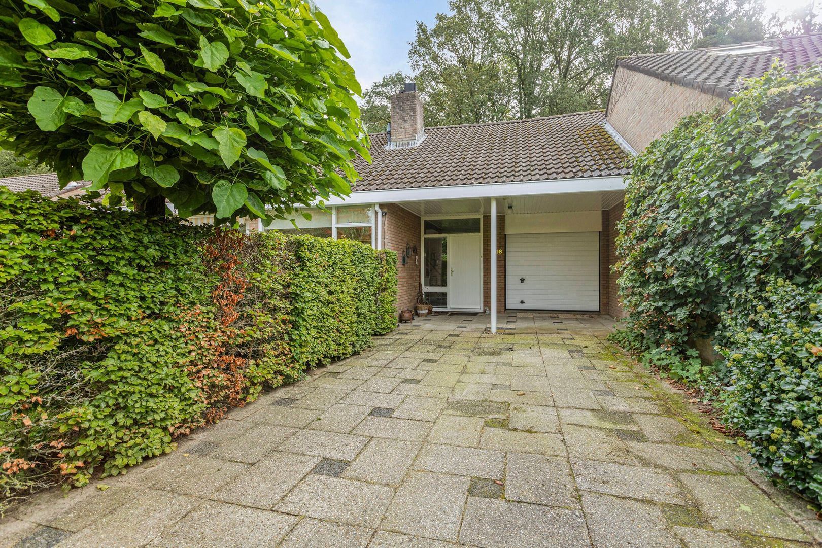 Meidoornlaan 16, Dalfsen foto-52