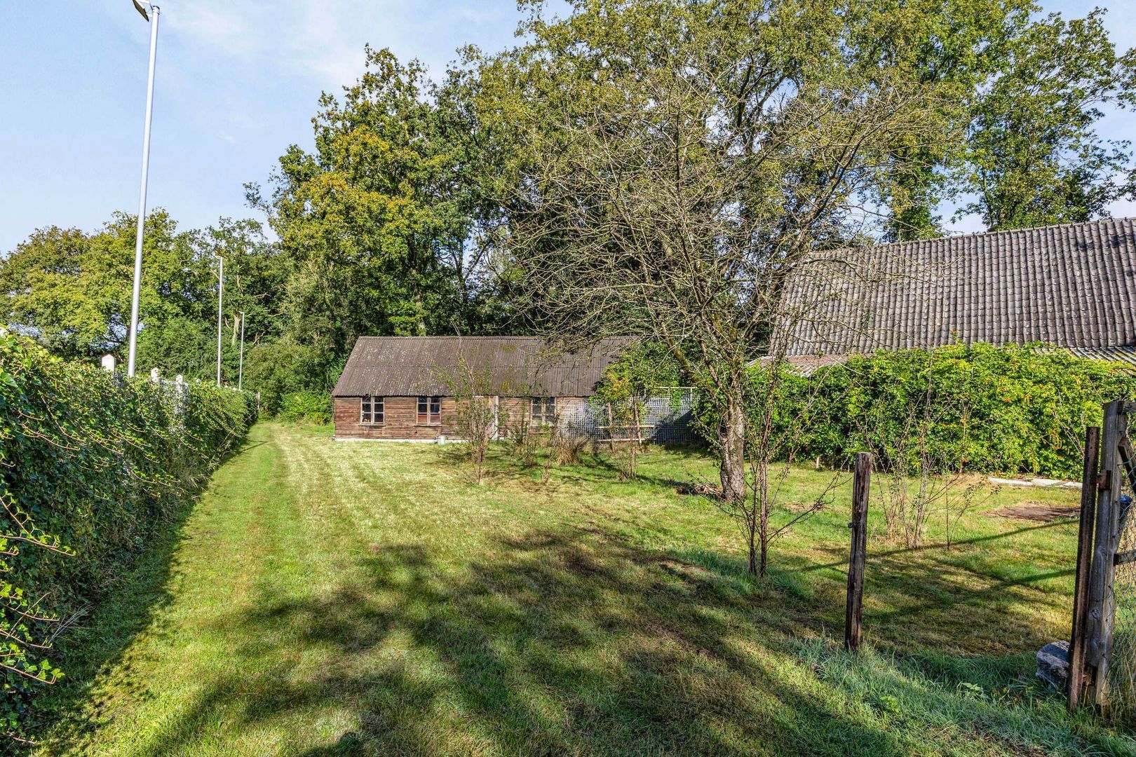 Hammerweg 64, Ommen foto-58