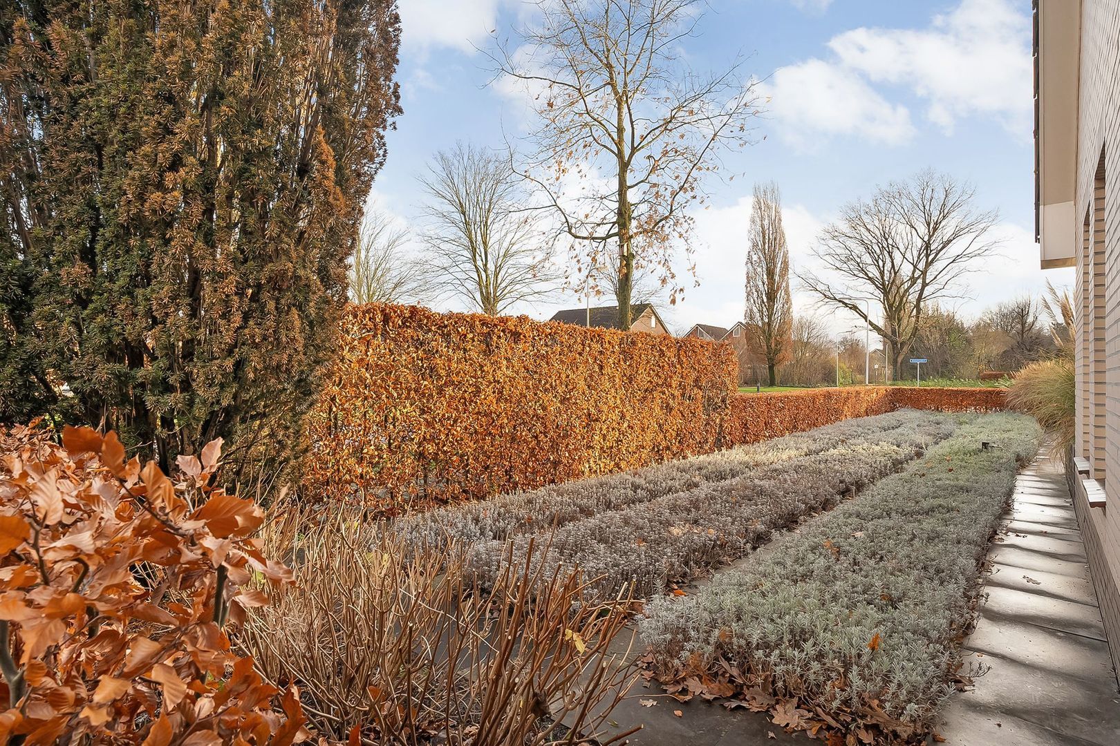 Polhaarweg 17, Dalfsen foto-50
