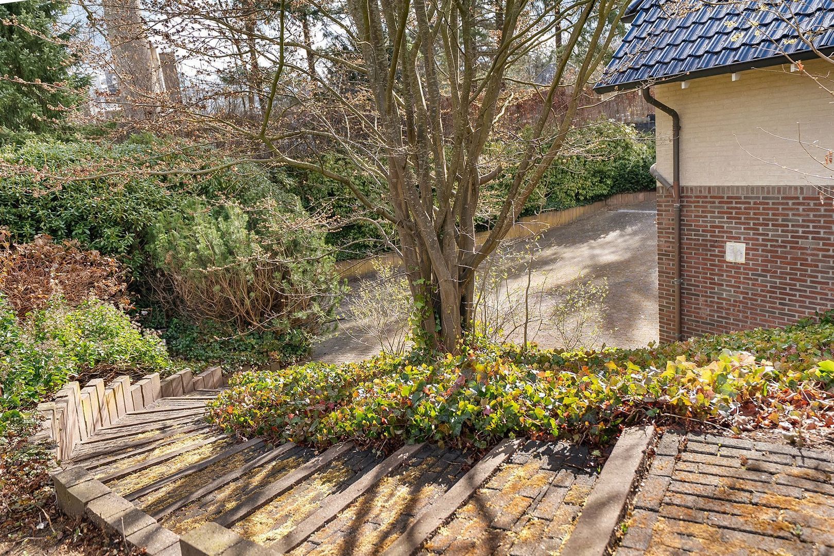 Falkenburgerf 1, Ommen foto-69