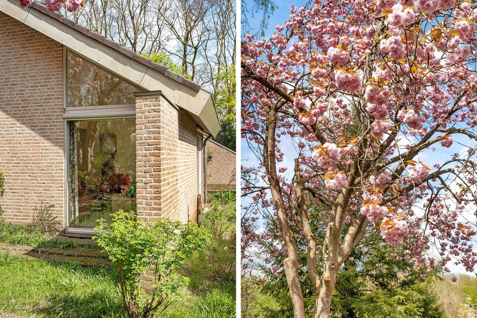 Acacialaan 8, Dalfsen foto-69