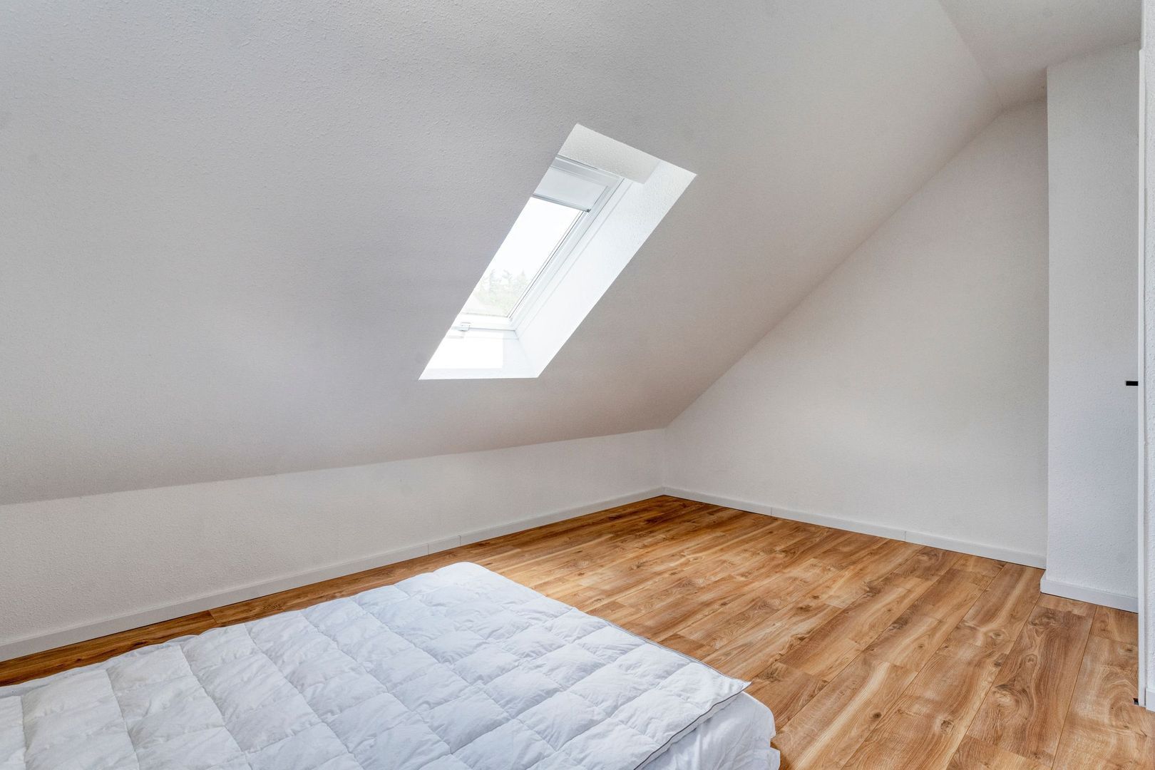 Ankummer Es 3 a, Dalfsen foto-33