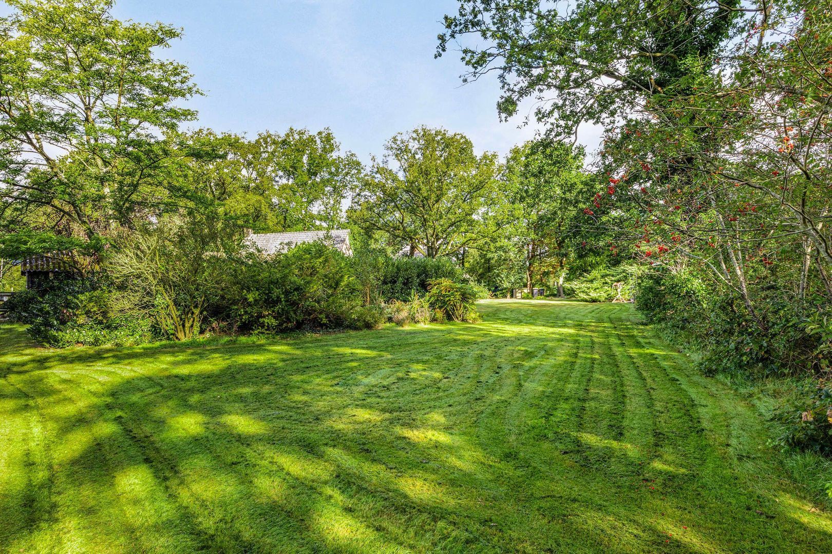 Hammerweg 64, Ommen foto-5