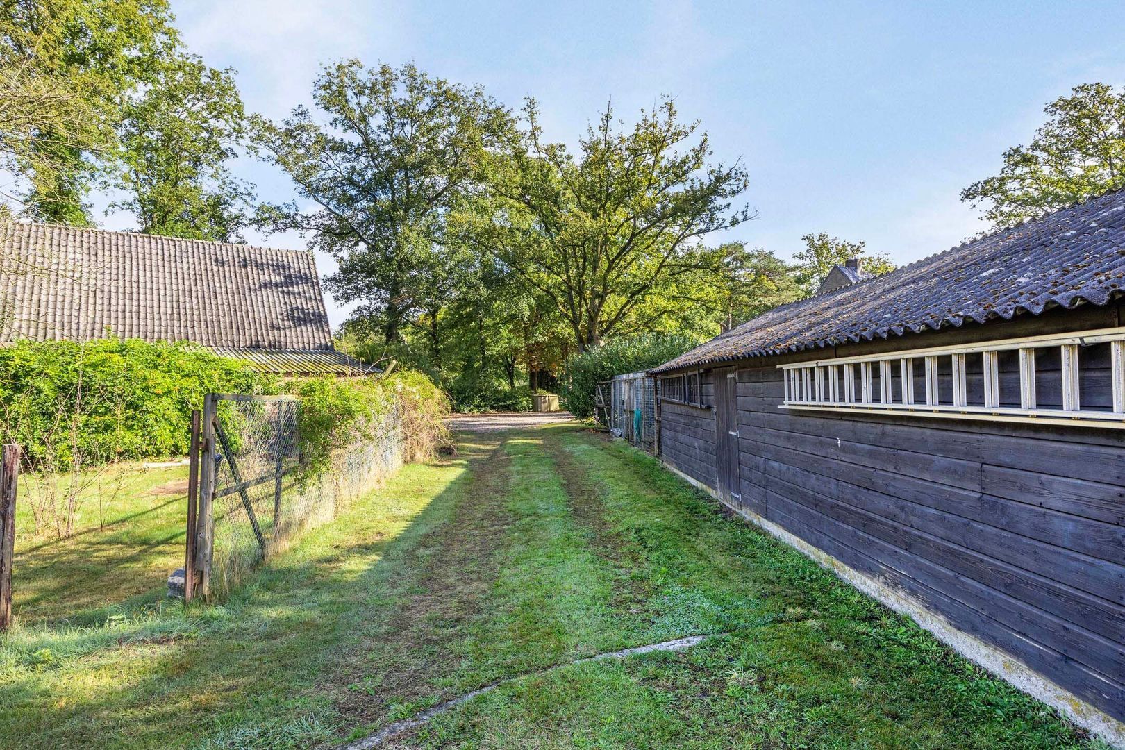 Hammerweg 64, Ommen foto-56