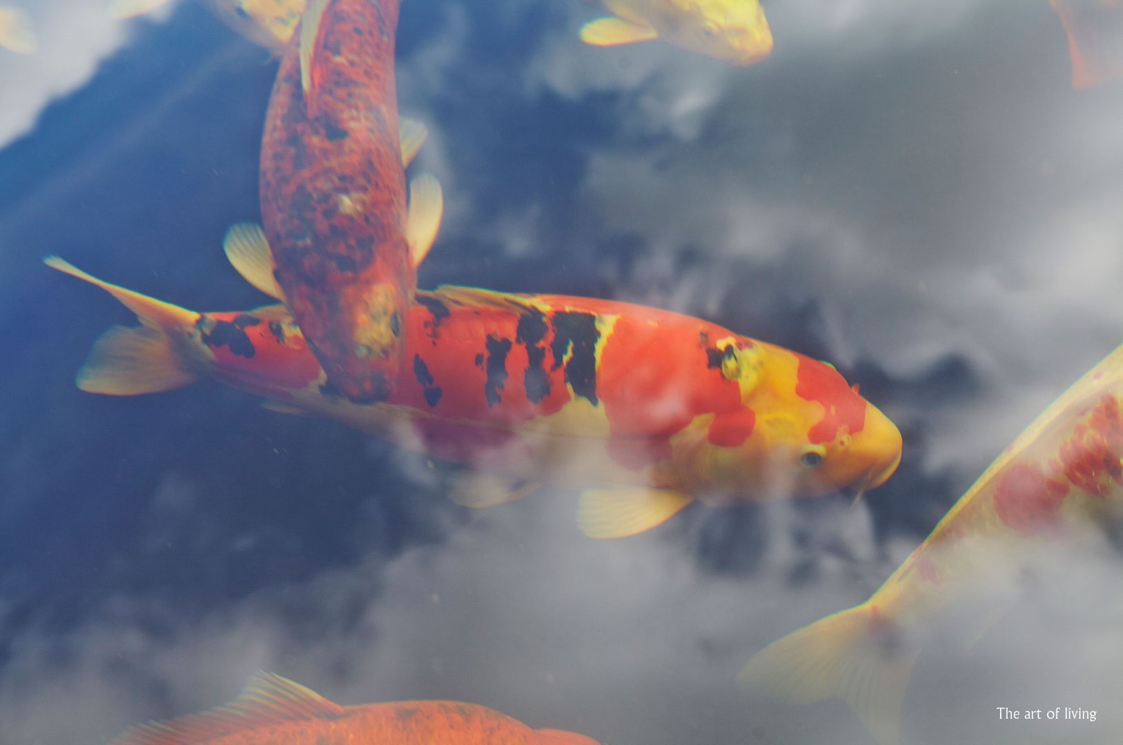 Millseweg 20 B, Wanroij foto-63