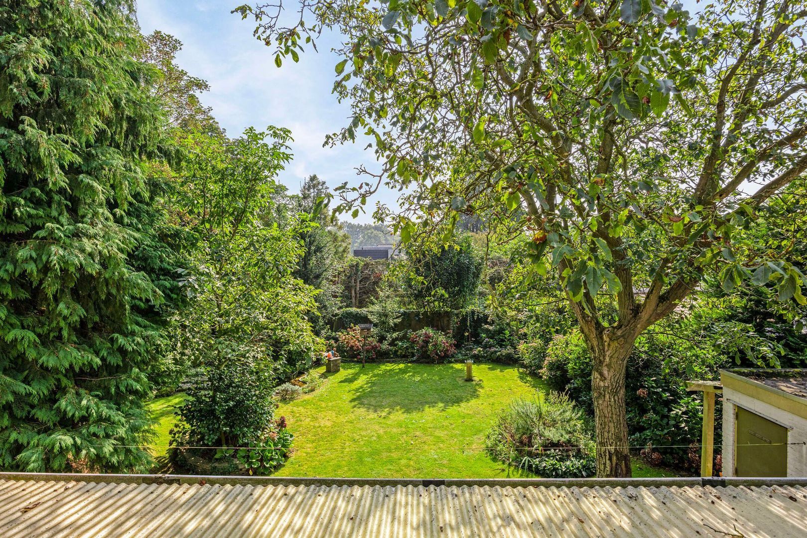 Violierstraat 19, Uden foto-51