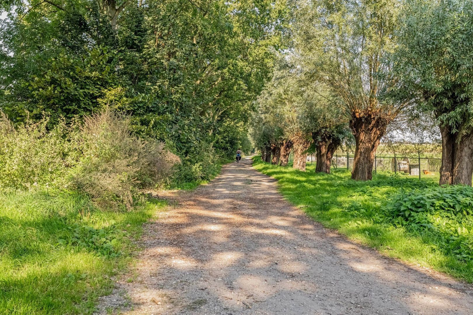 Schouwstraat 3, Uden foto-70