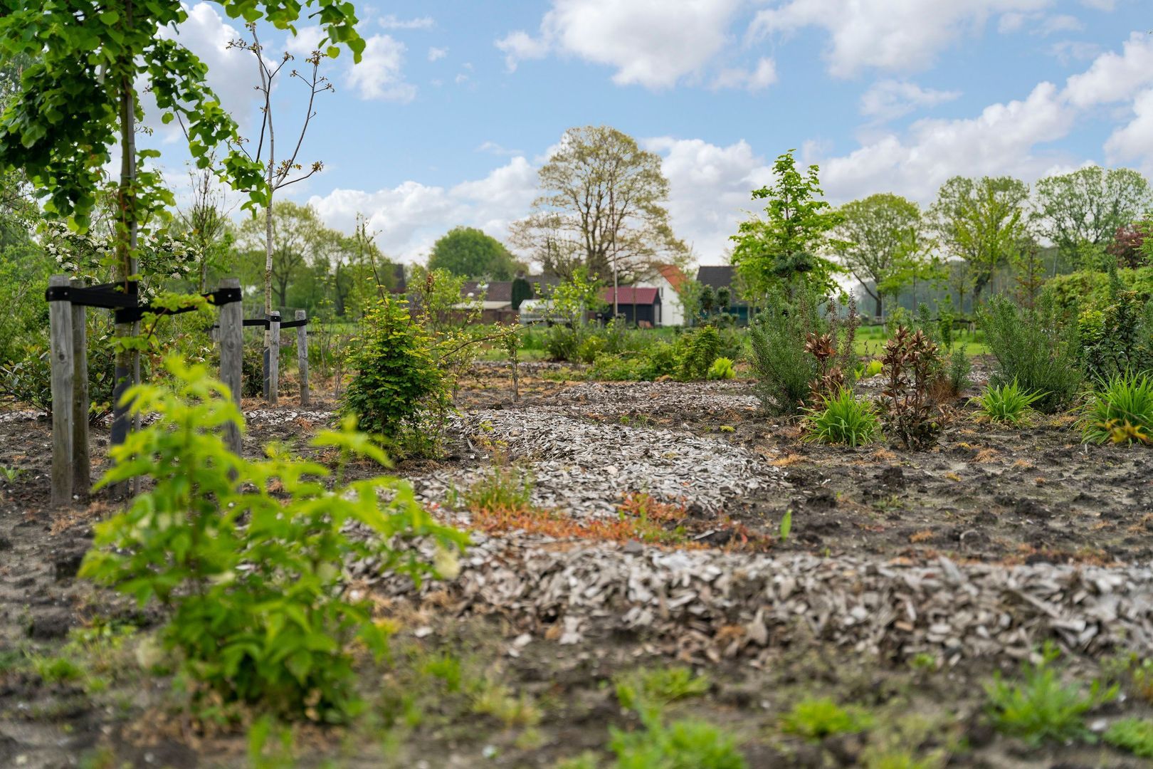 De Louwstraat 25 b, Schaijk foto-33
