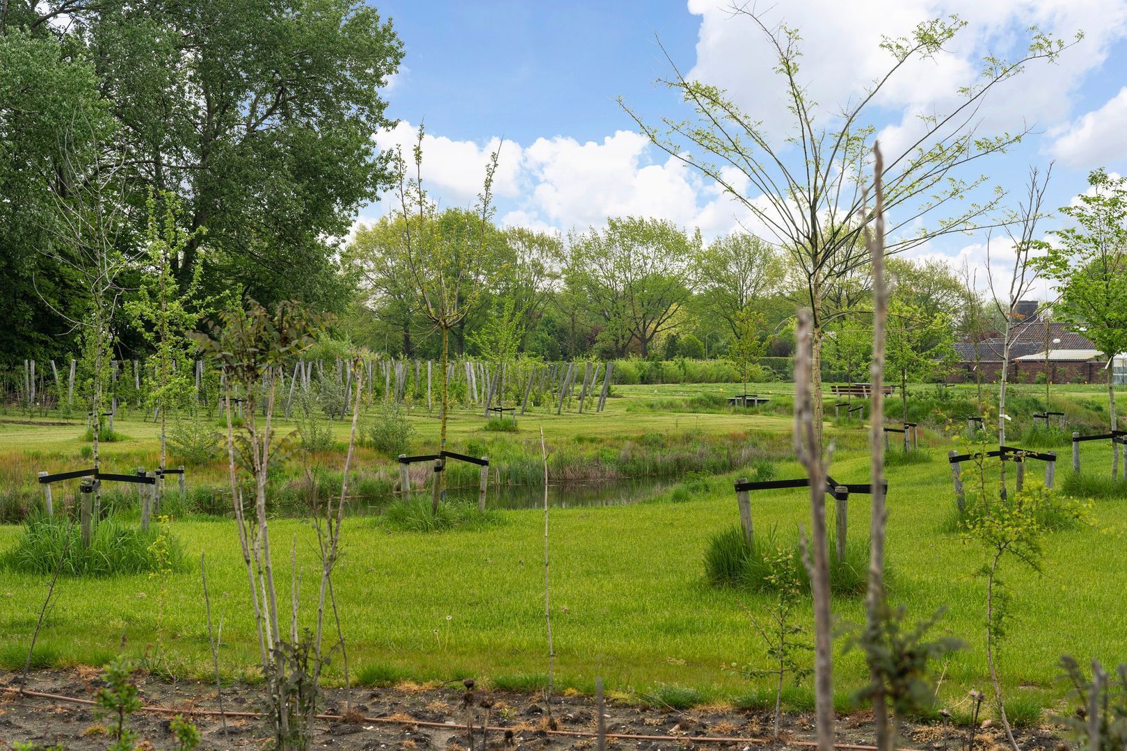 De Louwstraat 25 b, Schaijk foto-34