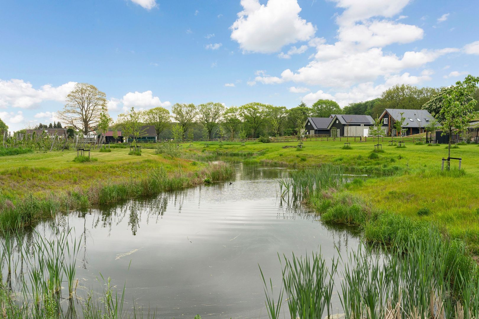De Louwstraat 25 b, Schaijk foto-43