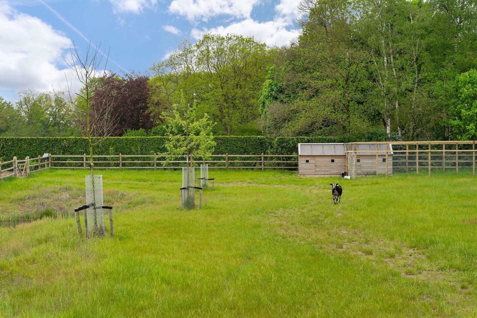 De Louwstraat 25 b, Schaijk foto-41