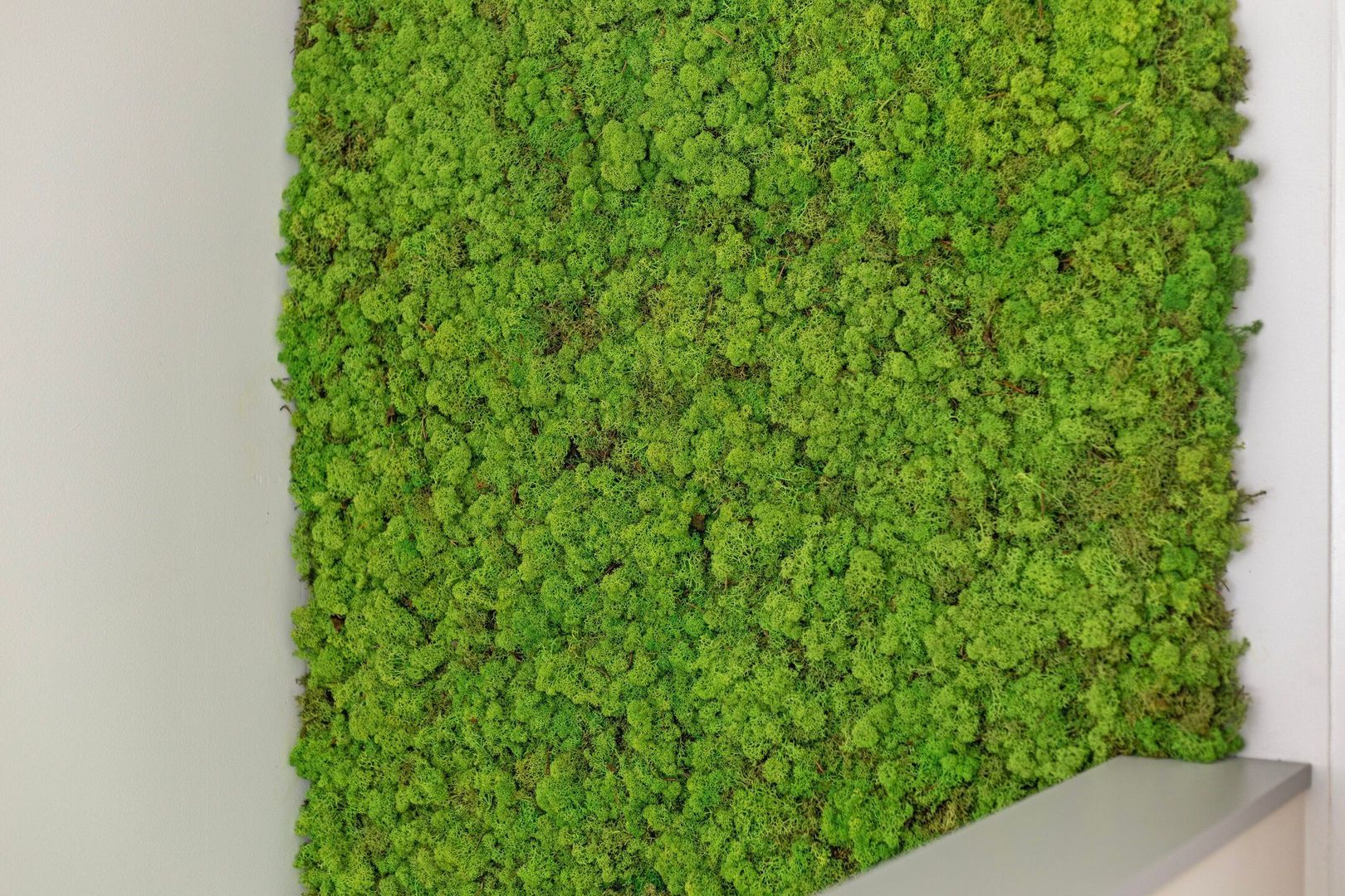 Gulden 2, Uden foto-32