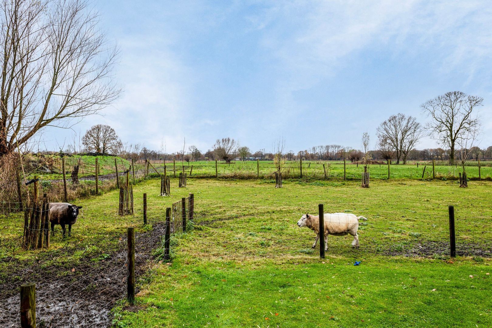 Graspeel 26 a, Zeeland foto-43