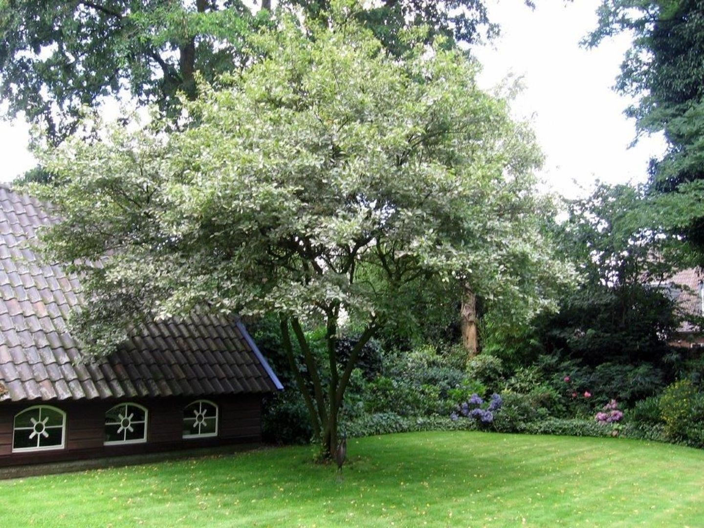 Hulstheuvel 20, Uden foto-45