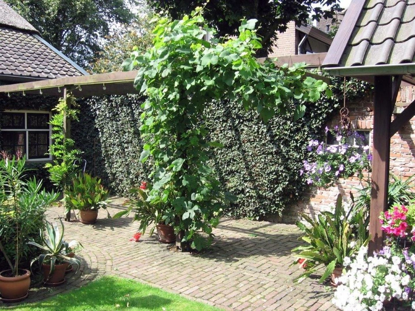 Hulstheuvel 20, Uden foto-51