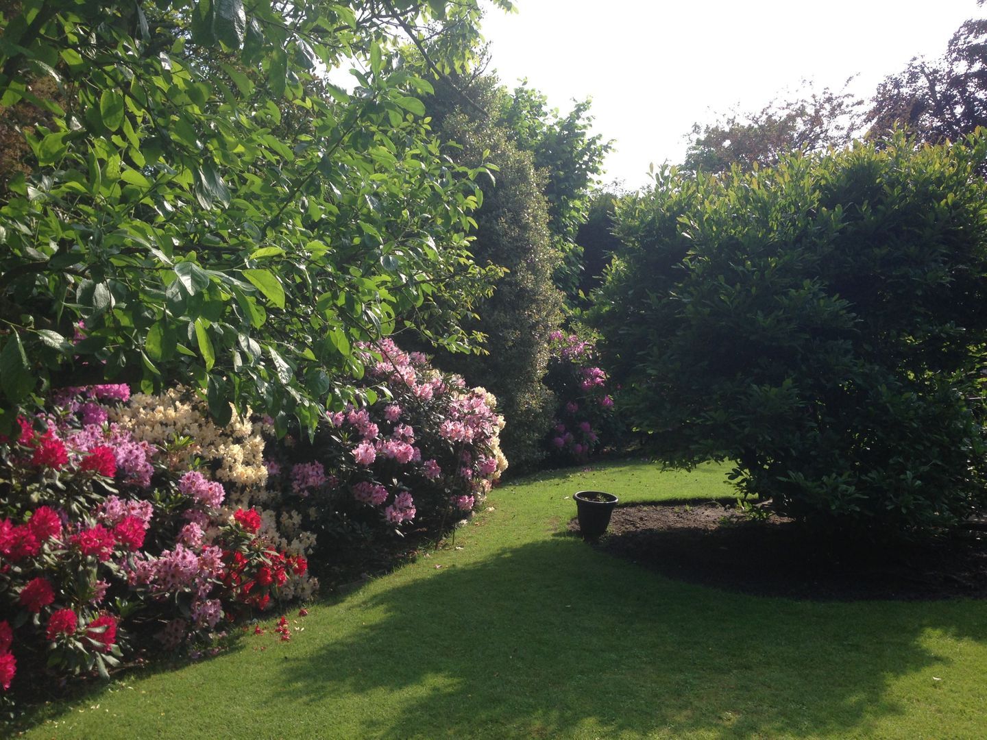 Stoffels 119, Uden foto-54