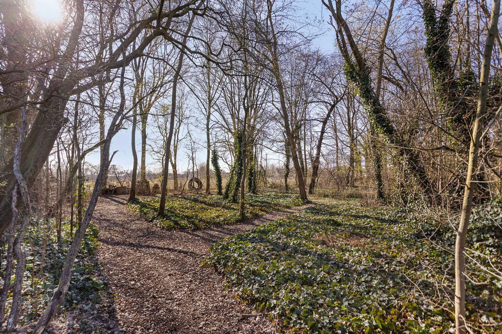 Derptweg 5 a, Vorstenbosch foto-39