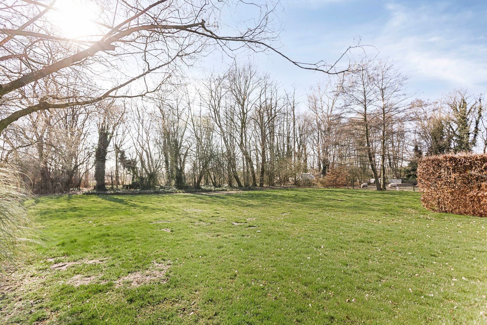 Derptweg 5 a, Vorstenbosch foto-36