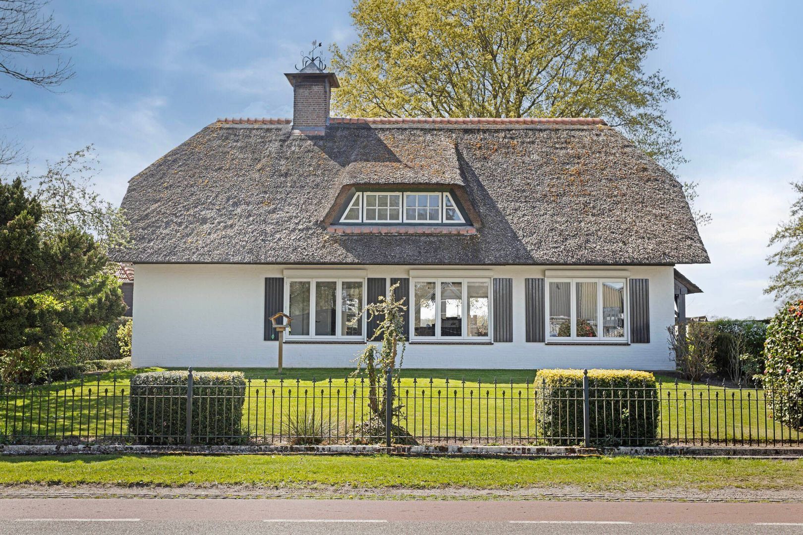 Graspeel 42, Zeeland foto-42