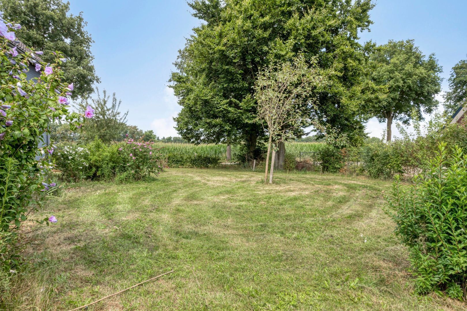 Oosterheidestraat 23, Odiliapeel foto-61