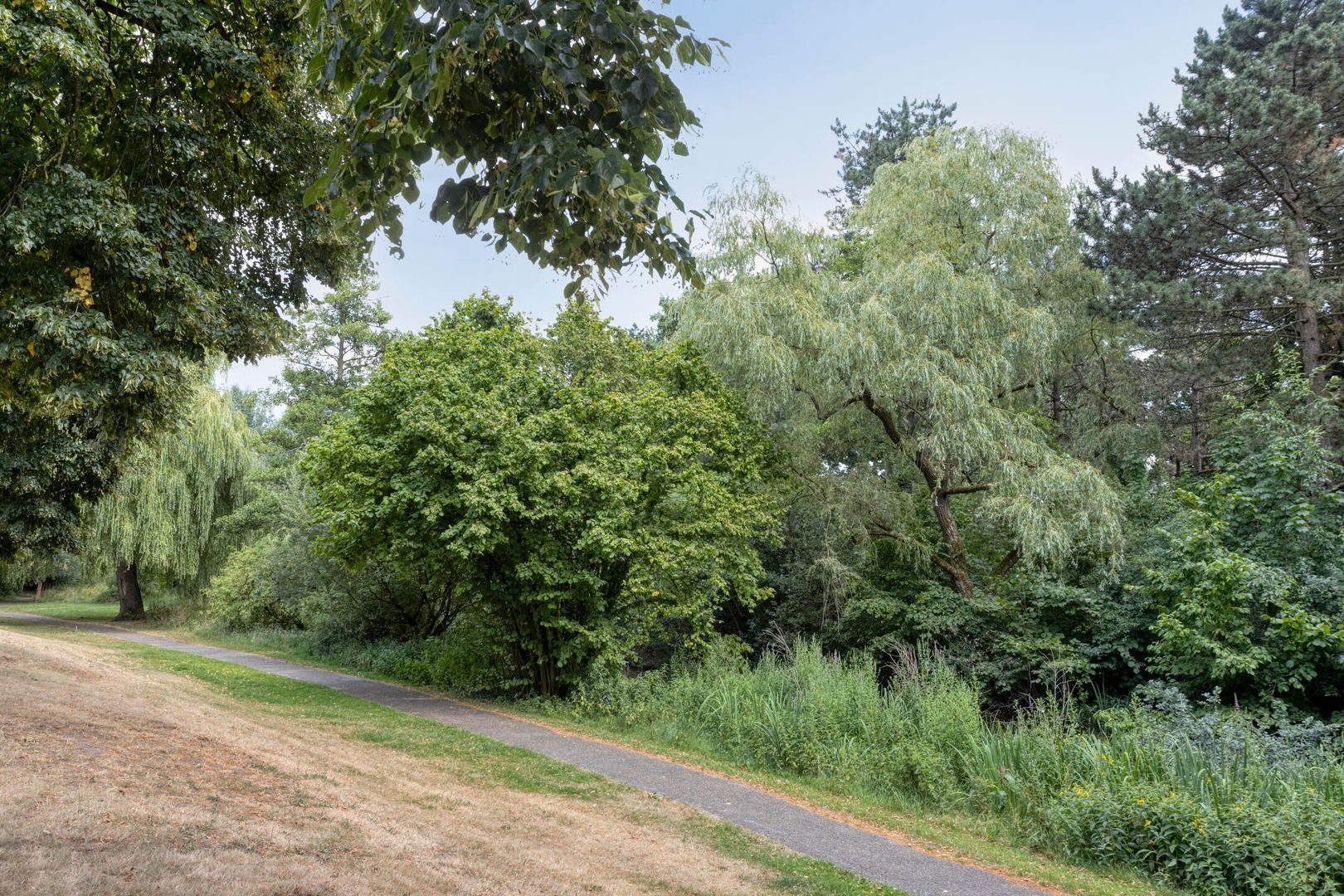 Breukrand 401, Uden foto-45